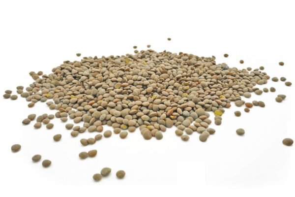 ORGANIC OLIVE GREEN LENTILS